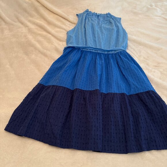 Draper James RSVP 100% Cotton Color Block Swiss Dot Blue Dress Size L - Picture 1 of 16
